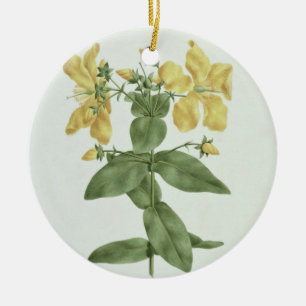 Gefühl-Reichweite (Hypericum quartinianum) (w/c Keramik Ornament