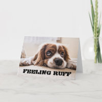 Gefühl RUFF wird bald gut