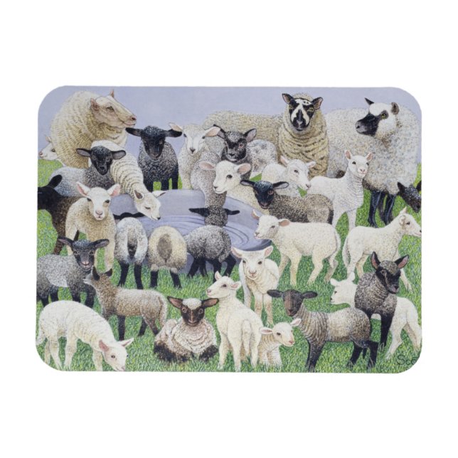 Gefühl Sheepish Magnet (Horizontal)