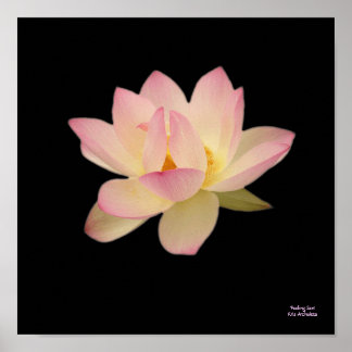 Gefühl Zen-Poster Poster