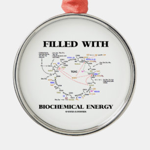 Gefüllt mit biochemischer Energie (Krebs Zyklus) Silbernes Ornament