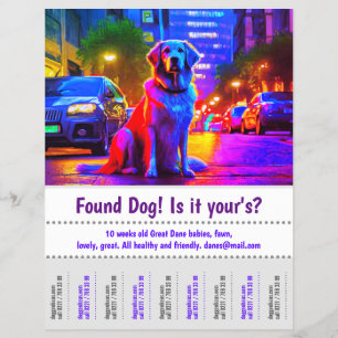 Gefunden-Hund-Grafikdesign-Plakat  Flyer