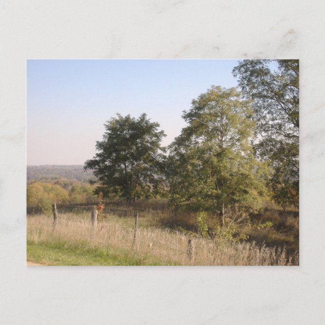 Gefundenes Hilltop 2004-Foto Postkarte (Vorderseite)