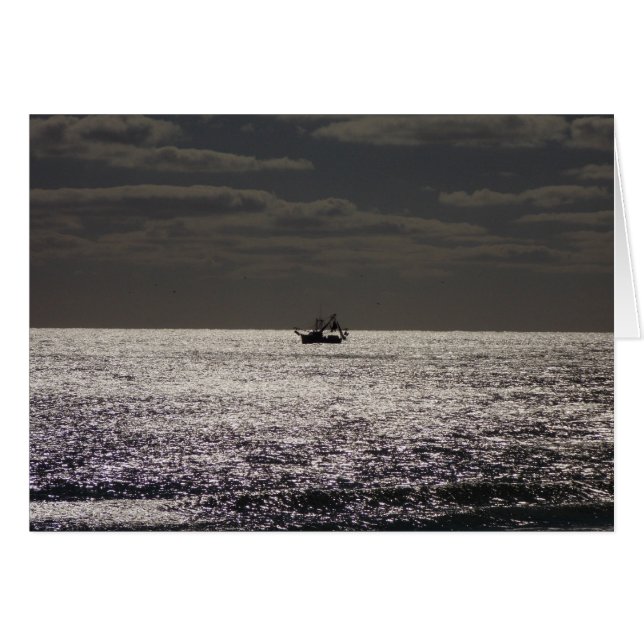 Gegangenes Shrimp'n (Vorderseite (Horizontal))