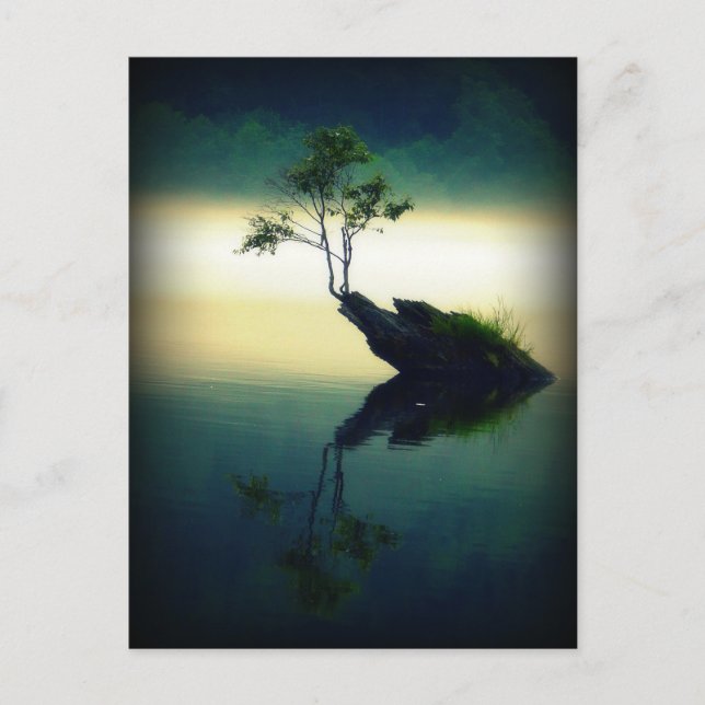 Gegen alle Odds - Schöne Baumfotografie Postkarte (Vorderseite)