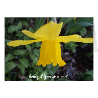 Gegen Getreide ist OK