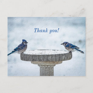 Gegensätzliche Seiten Malerisch Dankeschön-Postkar Postkarte