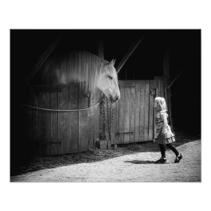 Gegenseitige Neugier Fotodruck