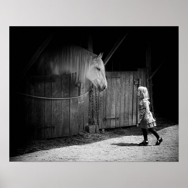 Gegenseitige Neugier Poster (Vorne)