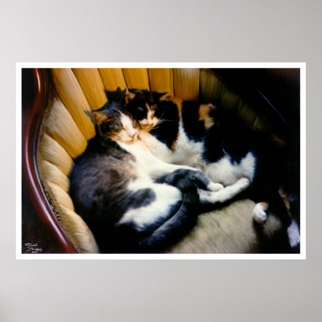 Gegenseitige Unterstützung Poster (Vorne)