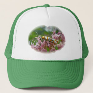 Gegenstände von Ailanthus Webworm Moth (Atteva pun Truckerkappe