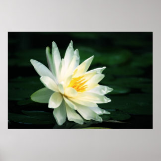 Gegenüber der Sonne Poster