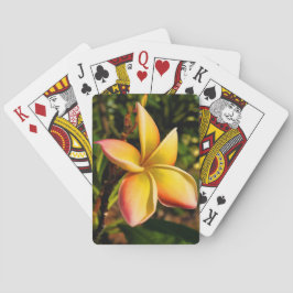 Gegenüberstellen des Sun Spielkarten