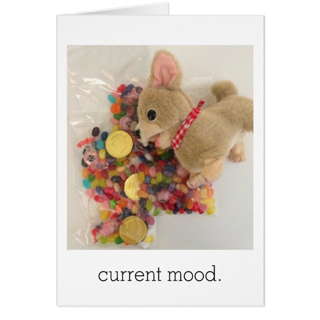 gegenwärtige Stimmung (Vorne)