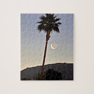 Geglänzter Mond 🌙 Unter der Palme 🌴 