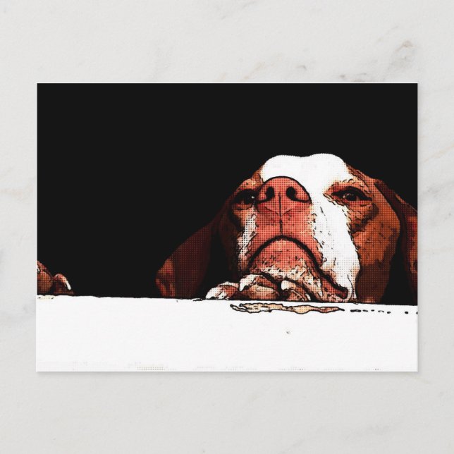 Geh bitte nicht! postkarte (Vorderseite)