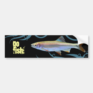 Geh Fisch! Shiner Minnow Autoaufkleber