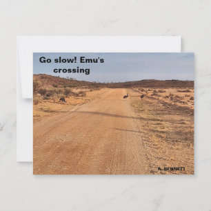 Geh langsam! postkarte