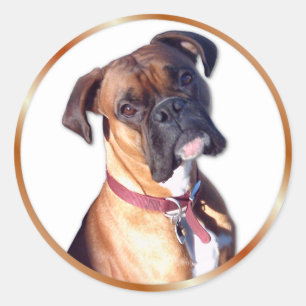 Geh nicht. runder aufkleber