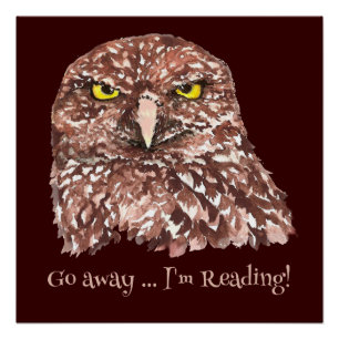 Geh weg, ich lese gerade! Grumpy Owl Spaß Zitat Poster