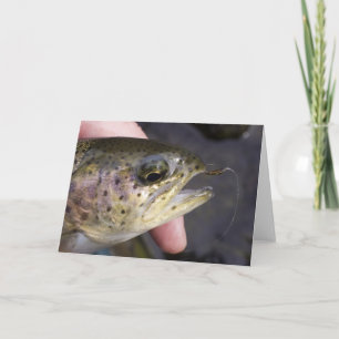 Gehakt auf Fliegenfischen - Karte
