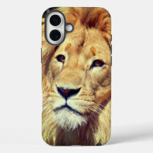 Gehäuse für das iPhone