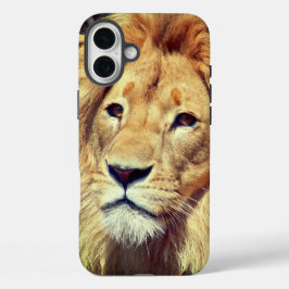 Gehäuse für das iPhone 16 Plus Hülle
