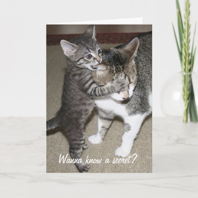 geheim karte (Vorderseite)