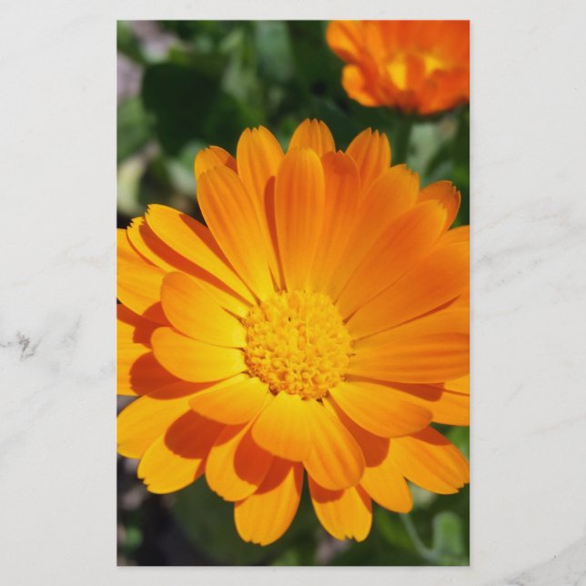 geheime Blume Briefpapier (Vorderseite)