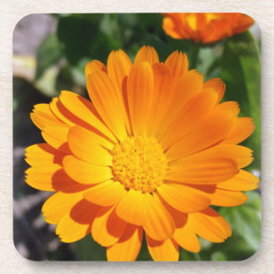 geheime Blume Getränkeuntersetzer