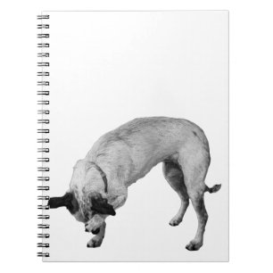 Geheime Listen Terrier Notizblock