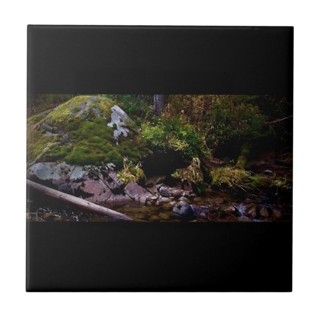 Geheime Stelle Fliese (Vorderseite)