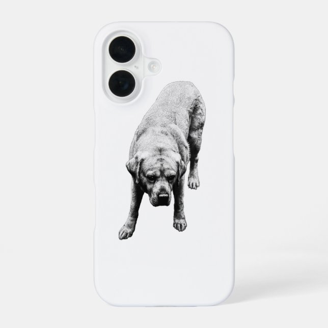 Geheime Wächter iPhone 16 Hülle (Rückseite)