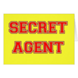 Geheimer Agent