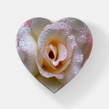 Geheimer Rosen-Papierbeschwerer