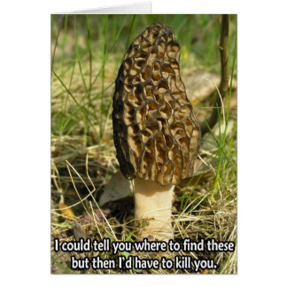 Geheimnis des Morel Hunter