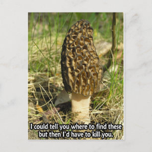 Geheimnis des Morel Hunter Postkarte