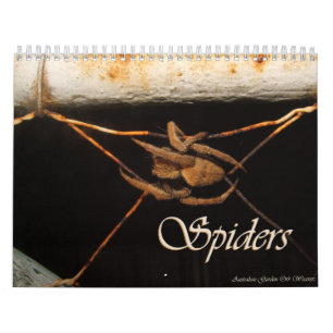 Geheimnisse einer Garten-Spinne Kalender
