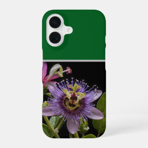 Geheimnisvolle Schönheit: die violette Passionsblu iPhone 16 Hülle