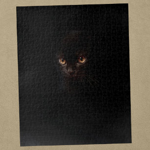 Geheimnisvolle schwarze Katze am härtesten