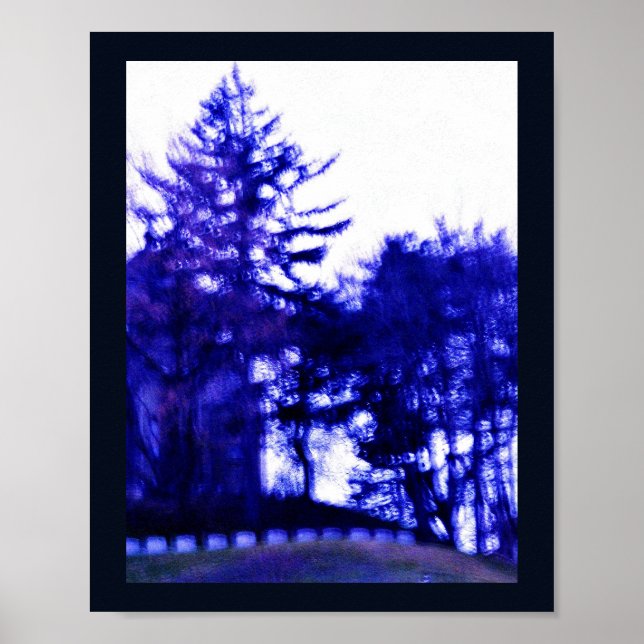 geheimnisvoller Wald Poster (Vorne)
