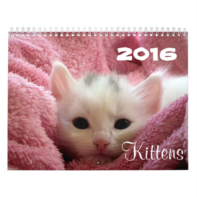 Gehen ~ gehen Kalender der Kätzchen-2016 (Titelbild)