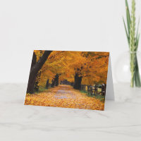 Gehen hinunter die alten Zeiten des Herbstes