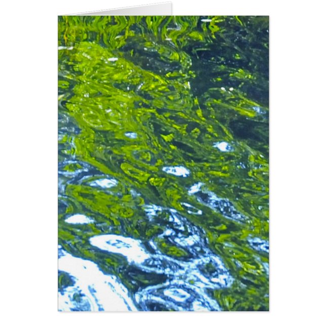 Gehen Sie mit dem Fluss! (Vorne)