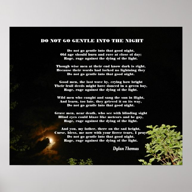 GEHEN SIE NICHT IN DIE NACHT POSTER (Vorne)