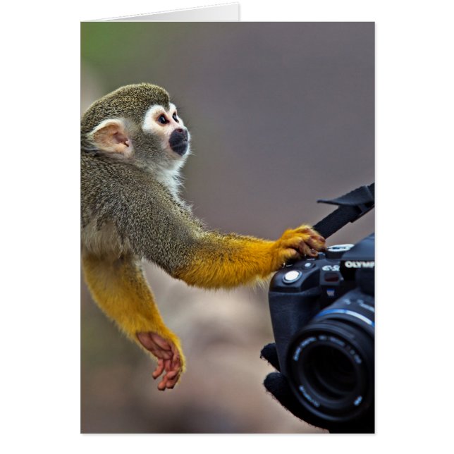 Gehen Sie weiter! lassen Sie mich den Schuss (Vorne)