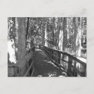 Gehen, um sich an die Postkarte zu erinnern