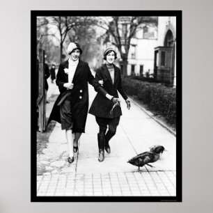 Gehende Enten in Washington, DC 1926 Poster
