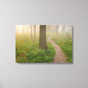 Gehender Weg, der in eine WaldLeinwand führt Leinwanddruck