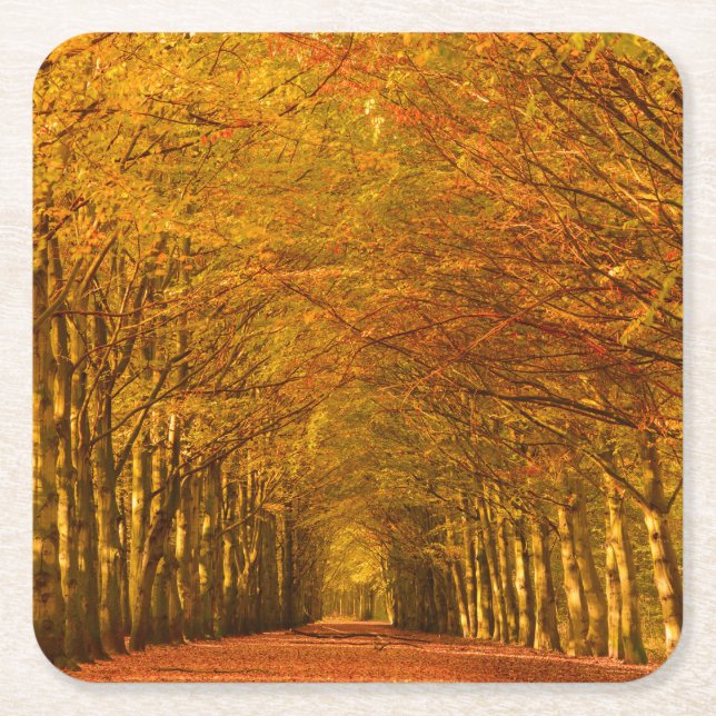 Gehender Weg durch den Wald im Herbst-Untersetzer Rechteckiger Pappuntersetzer (Vorderseite)